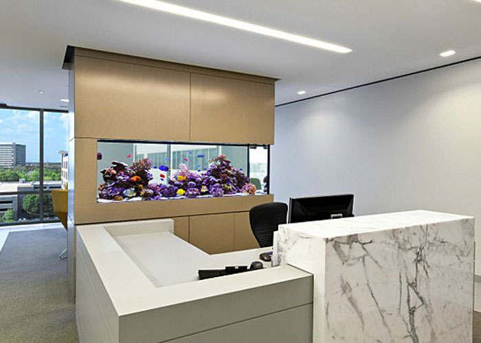 desain interior kantor unik